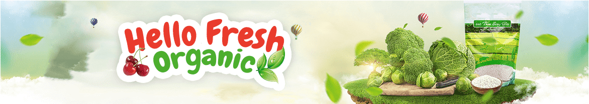 Banner Home V2